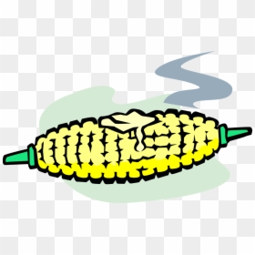Vector Illustration Of Corn On The Cob Grain Plant - Corn On The Cob Clipart, HD Png Download - corn vector png