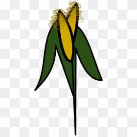 Icon Corn Orchard Free Photo - Gambar Icon Pohon Jagung, HD Png Download - corn vector png