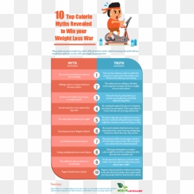 Top 10 Calorie Myths Infographic Plaza - Myths And Truths Infographics, HD Png Download - myth png