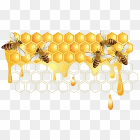 Miel, Abeilles - Honey Bee, HD Png Download - miel png