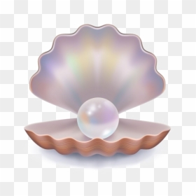 Png Transparent Images Pictures - Transparent Background Clam Shell Png, Png Download - pearls clipart png