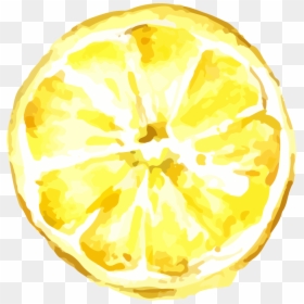 Lemon Transparent Png Image & Lemon Clipart - Lemon Illustration Png, Png Download - lemon clipart png