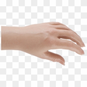 Latex, HD Png Download - female hand png