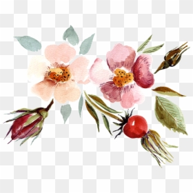 Hand Painted Watercolor Flowers Decorative Illustration - Watercolor Birthday Png, Transparent Png - female hand png