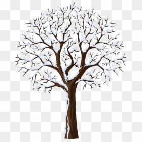 January Clipart Snowtree - Bare Tree With Snow Clipart, HD Png Download - bare trees png