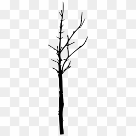 Twig, HD Png Download - bare trees png