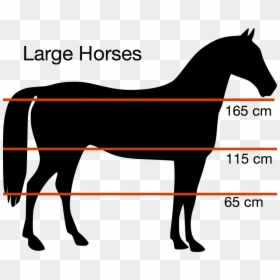 Transparent Height Png - Free Horse Silhouette, Png Download - running horse silhouette png