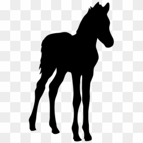 Silhouette Of Foal - Foal Silhouette, HD Png Download - running horse silhouette png