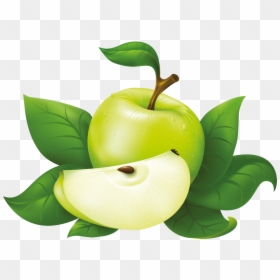 Vector Graphics Clip Art Fruit Juice Image - Apple Fruit Vector Png, Transparent Png - apples clipart png