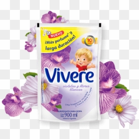 Vivere Violetas Y Flores Blancas, HD Png Download - flores blancas png