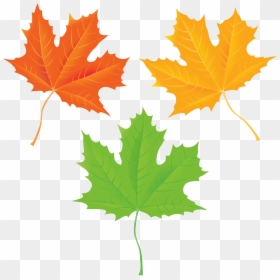 Falling Leaves Png, Transparent Png - falling leaves png