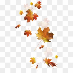 Transparent Fall Leaves Png, Png Download - falling leaves png