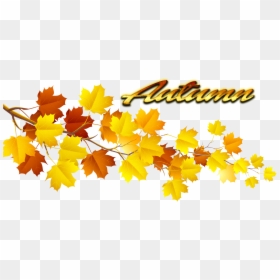 Transparent Yellow Leaf Clip Art, HD Png Download - falling leaves png