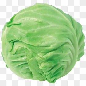 Cabbage Png Clipart, Transparent Png - wutface png