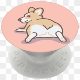 Fox Popsocket, HD Png Download - corgi png