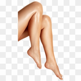Legs Png, Transparent Png - legs png