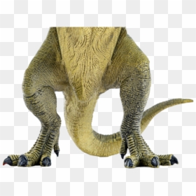 T Rex Cardboard Cutout, HD Png Download - legs png