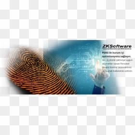 Forensic Backgrounds, HD Png Download - arrow .png