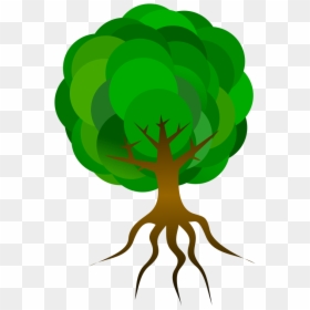 Cartoon Roots Of A Tree, HD Png Download - tree roots png