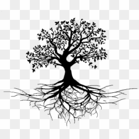 Oak Tree Silhouette With Roots, HD Png Download - vhv
