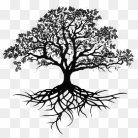 Oak Tree Silhouette With Roots, HD Png Download - tree roots png