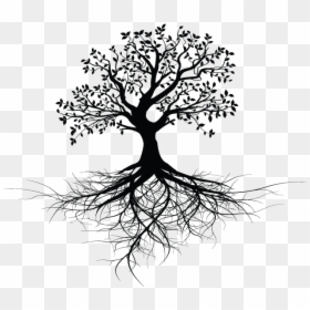 Tree With Roots Design, HD Png Download - tree roots png