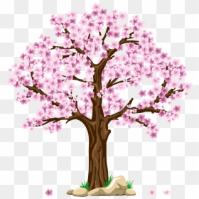 Trees In 4 Seasons, HD Png Download - tree roots png