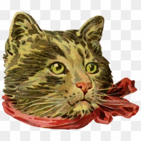 Cat, HD Png Download - cats png