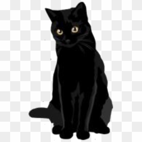 Black Cat Stickers, HD Png Download - cats png