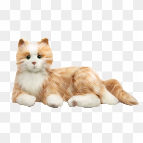 Hasbro Cat, HD Png Download - cats png