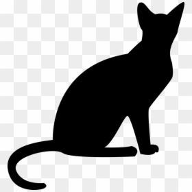 Black Cat Transparent Background, HD Png Download - cats png