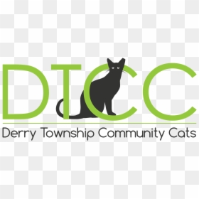 Black Cat, HD Png Download - cats png