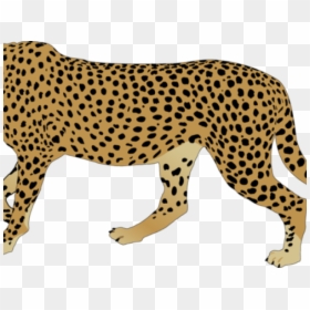 Cheetah Clipart Png, Transparent Png - cheetah png