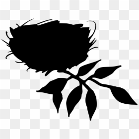 Birds Nest Clipart, HD Png Download - passarinho png