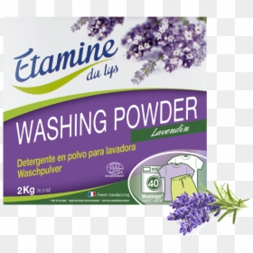 Lessive Poudre Etamine Du Lys, HD Png Download - lavadora png