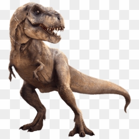 T Rex Transparent Background, HD Png Download - dinosaurios animados png