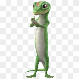 National Association Of Government Contractors Geico - Geico Lizard Transparent Background, HD Png Download - geico lizard png
