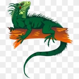 Lizard Clipart - Iguana Clip Art Png, Transparent Png - geico lizard png
