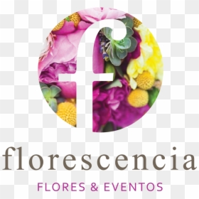 Florescencia Floristería Y Eventos - Primula, HD Png Download - arreglos florales png