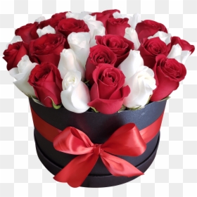 Garden Roses, HD Png Download - rosas blancas png