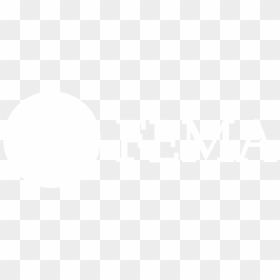 Us Fema Logo Black And White - R Studio Logo Black And White, HD Png Download - usa flag black and white png