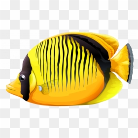 Best Free Fish Transparent Png File, Png Download - fish illustration png