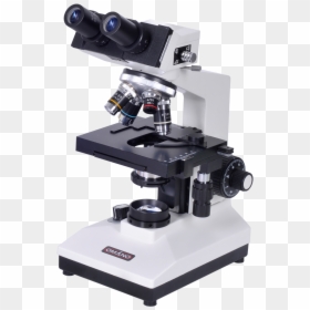 Laboratory Microscope, HD Png Download - microscope vector png