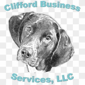 Hunting Dog, HD Png Download - clifford png