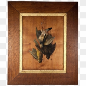 Picture Frame, HD Png Download - dead bird png