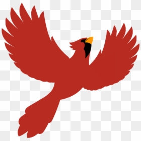 And A Special Thanks To Our - Kite, HD Png Download - red tailed hawk png