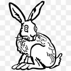 Hare - Lineart - Rabbit Draw Art, HD Png Download - rabbit outline png