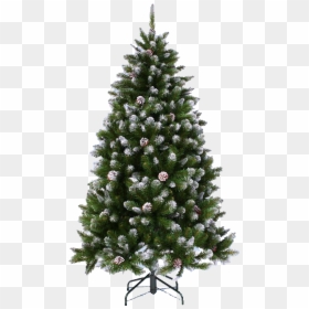 Real Christmas Tree Plain, HD Png Download - arbol png transparente