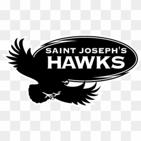 Saint Joseph"s Hawks Logo Black And White - Saint Joe's Black And White Logo, HD Png Download - red tailed hawk png