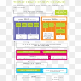 Flow-chart - Animal Health Treatment Chart, HD Png Download - flow chart png